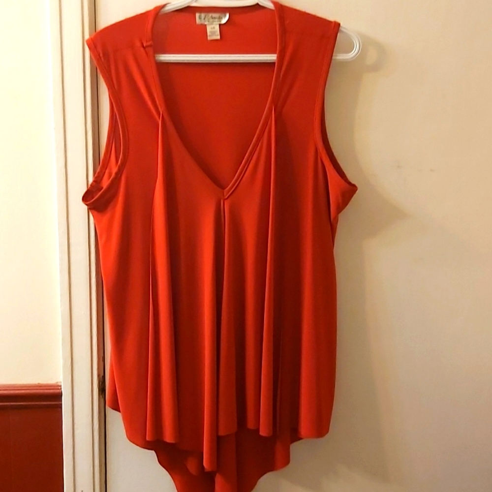 (26) Ladies top